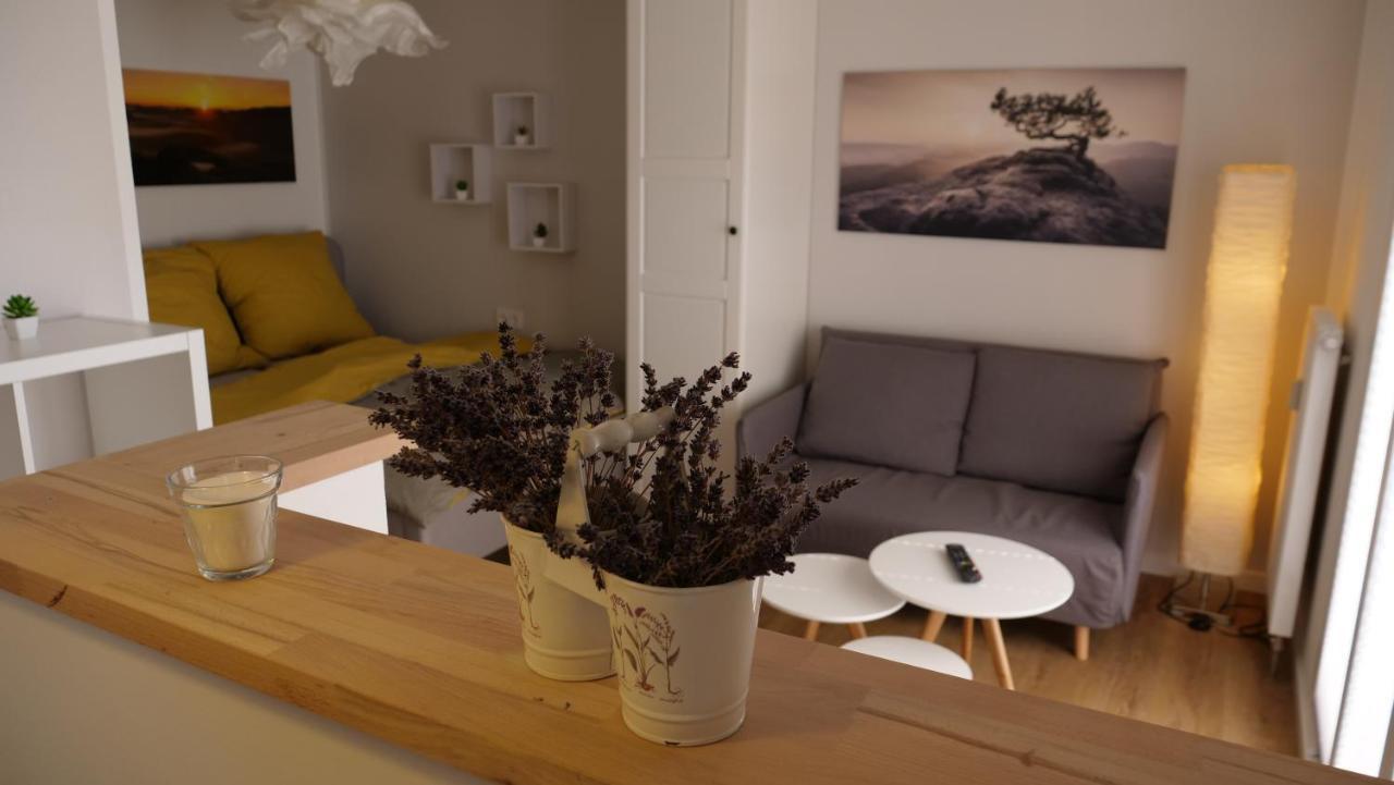 Ferienwohnung Gottleubapark Apartment Pirna Ngoại thất bức ảnh